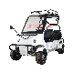  Wholesale Adult Battery Operated 2500W Four Wheels Electric Sightseeing Scooter Car