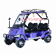  CE Approved Cool Design Adult Lead Acid 60V80A Battery Operated Outdoor 4 Wheels Leisure Electric Car