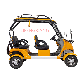  CE Approved New Arrival Adult Lead Acid Battery Operated 2500W Powerful Electric Golf Car