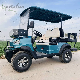 Gasoline Engine 4 Person Airport Electric Golf Cart Golf Car Price