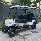  6 Seats Electric Lead Acid Battery Golf Buggy for Hunting