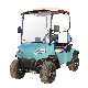 New Design 3.5-5kw Motor 2 Seater Electric Golf Cart