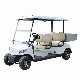 Guangdong Marshell 4 Seater Electric Golf Cart (DG-M4S)