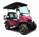 New Model 4 Seater Electric Golf Car Global Sale Lifted Golf Car