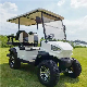  CE Certified Electric 4-Wheel Vehicle Golf Cart for Use in Scenic Areas Customized Function 2-Seater/4-Seater/6-Seater/8-Seater Golf Cart