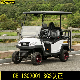 2017 New Design 4 Seater Electric Golf Cart China Made