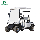  Superior Quality Classic Electric Vehicle Golf Cart with 2 Seats