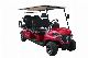  New Trend Great Price Golf Car 4+2 Seater China Forge G4+2 Golf Cart Golf Buggy