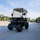 Factory Outlet 4 6 Person Seat Lithium Battery Folding Electric Golf Carts CE Certificate Custom Electric Golf Car