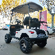 Electric Lifted Golf Cart 2 4 6 8 Seats 4X4 off Road Club Car for Sale Color Custom Free Design