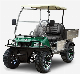  CE/EEC Certificated 2 Seater Golf Car Electric Utility Vehicle with Cargo Box Mini Truck