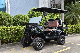  Luxury 4 Seater AC Motor Battery Powered Golf Cart Vehicle
