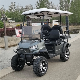  New Design off Road Golf Buggy Cart Electric Golf Vehicle for Wholesales