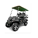 2 Seater Electric Golf Cart 2 Seats Electric Vehicles