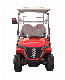  EEC Approved Dachi Iron Rack 2850*1200*1900 China Golf Buggy Electric Vehicle