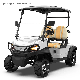 Applying Road-Vehicle Technology Ergonomic Design Best-Selling in Stock Kinghike Electric Golf Cart