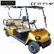 Long Durability Little Noise Buggy High Quality 4 Passengers Electric Vehicle