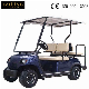  Long Durability Little Noise Buggy Golf Cart Battery Operated 4 Person Car