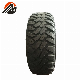  OEM for World Famous Brand, Top Quality Radial Car Tire