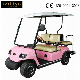 48V Battery Operated Legal Driving Golf Buggy New 4 Seats Golf Car (Lt-A2+2)