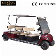  Battery Operated 8 Passengers Golf Car CE Certificated 8 Seaters Golf Car (Lt-A8)