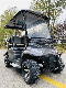  Electric Golf Cart Car Six Passengers High Quality Golf Buggy Max Customized Motor Lithium Battery