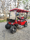 New 4 Seats Style F-2+2 China Factory Custom Club Car Battery Operated Golf