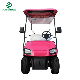  Hot Sales 2 Seats Mini Golf Car with 48V Battery