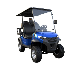 Electric Golf Cart Hunting 2+2 Seats Lithium Battery Predator H2+2 Golf Car Wholesale Market manufacturer