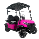 Lithium Battery Golf Cart 2 Seats Predator G2 Electric Golf Car manufacturer