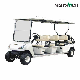 Guangdong Marshell Hot Export 8 Seater with CE Approved Golf Cart (DG-C6+2)