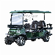  Green 4 Wheel off-Road Legal Gas Powered Golf Hunting Carts
