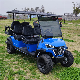  2023 New Launched Wholesale Golf Cart 4+2 Seater