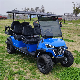 2023 New Launched Wholesale Golf Cart 4+2 Seater