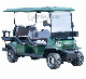 2 4 6 8 10 Seats Petrol 4X4 off Road Golf Buggies Electric Gasoline Lifted Golf Cart