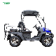 2023 Cheap Gas 400cc Golf Cart for sale manufacturer