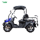 2023 High Quality 400cc Gas Powered 4X4 Golf Cart manufacturer
