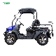 2023 High Quality 400cc Gas Powered 4X4 Golf Cart