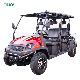 2023 4X4 400cc 6 Seater Gas Powered Golf Cart for sale manufacturer