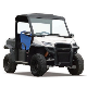  48V 5kw Golf Buggy Electric Utility Vehicle Patrol Car