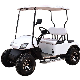  Electric 2 Seats Golf Car, Golf Buggy, Golf Trolley, Golf Utility, Golf Cart for Amusement Park, Parkland, Scenic Area, Tourist Attraction, Shopping Malls
