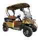 2 Seat Electric Lifted off Road Buggy Golf Cart