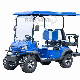 Electric Mini 2 Seaters 48V Electric Golf Cart for Sale