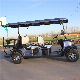 Factory Price 6 Seats Fashion Electric Golf Cart with CE