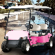  Best Chinese Golf Carts Golf Carts with Vivid Enclosures Free Custom Color White Pink Yellow Red Orange Purple Green Black Blue