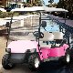 Best Chinese Golf Carts Golf Carts with Vivid Enclosures Free Custom Color White Pink Yellow Red Orange Purple Green Black Blue