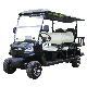  Made in China Folding 3 Rows of 6 Seater Electric Golf Cart 5000W New Energy Golf Cart for Vacation