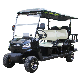 Made in China Folding 3 Rows of 6 Seater Electric Golf Cart 5000W New Energy Golf Cart for Vacation