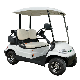 48V 2 Seaters Electric Golf Club Cart