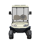 Lifted 2 Seats Electric off Road Golf Buggy Hunting Cart